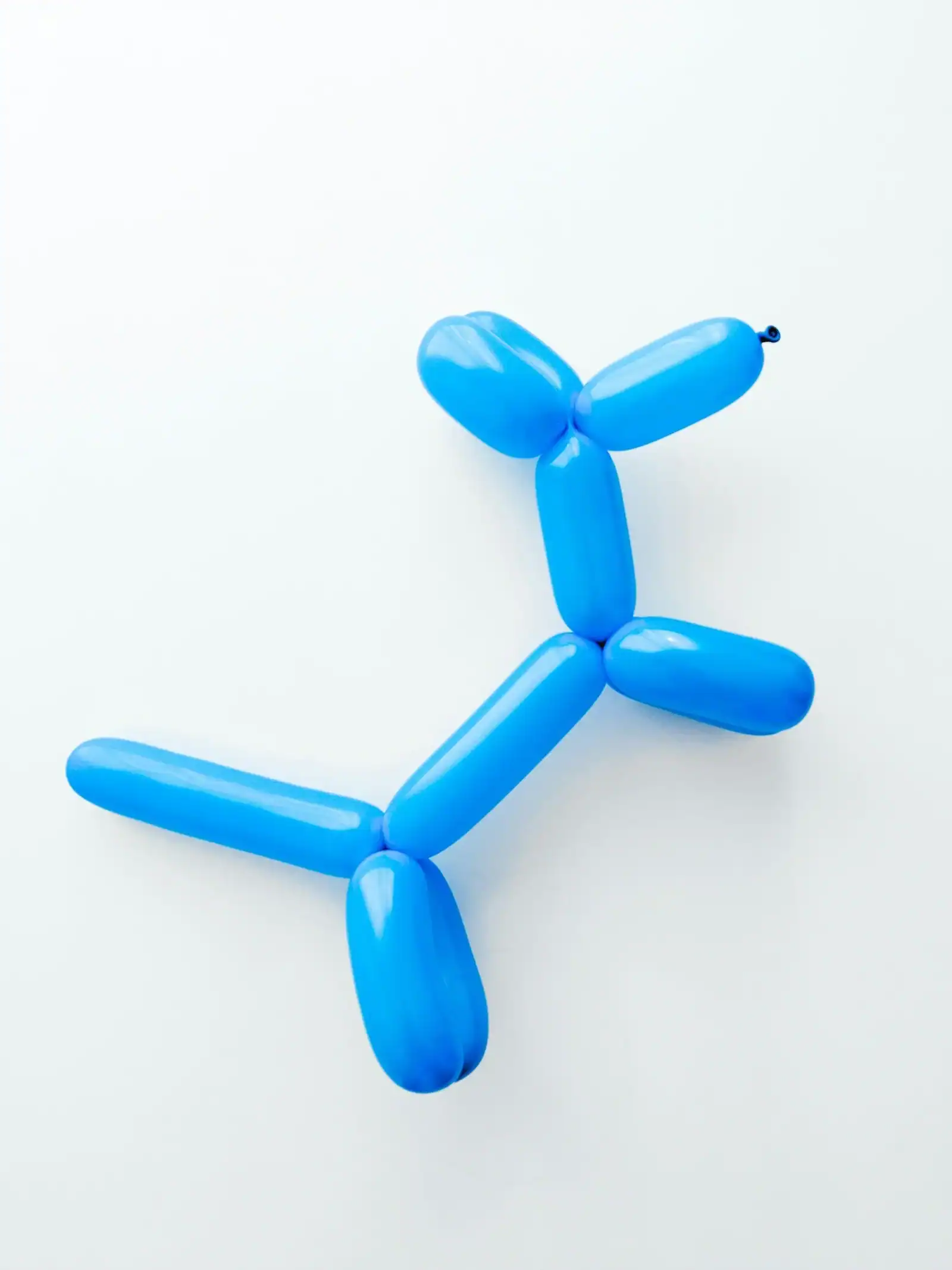 A blue balloon, expertly twisted by a balloon artist, takes the shape of a dog and is placed on a plain white background.