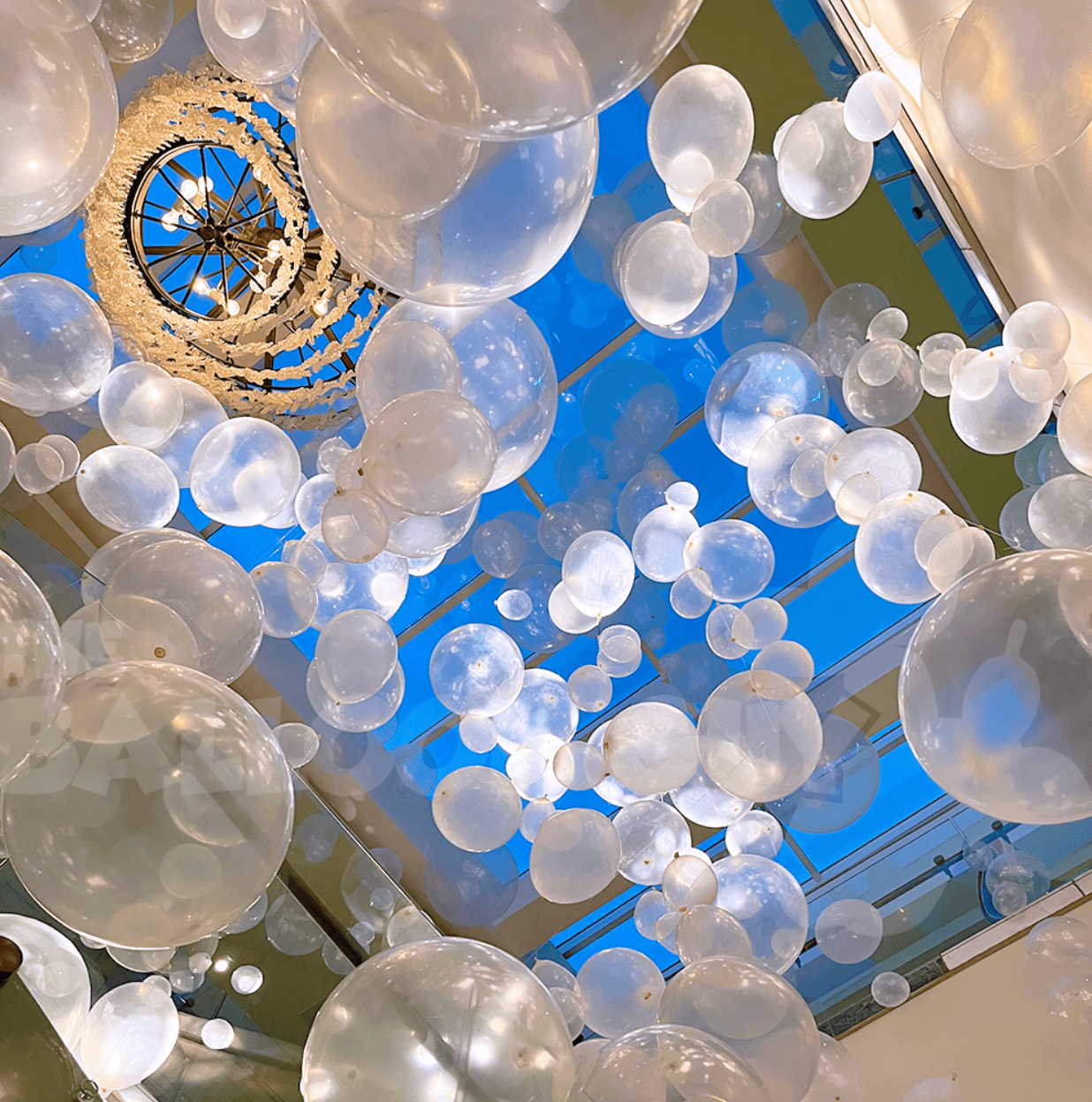 Bubble balloons in Los Angeles